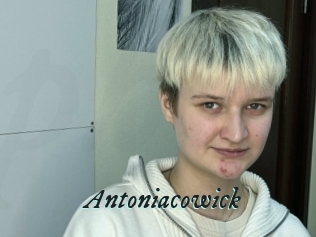 Antoniacowick