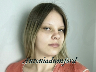Antoniadumford