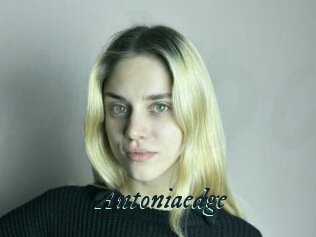 Antoniaedge