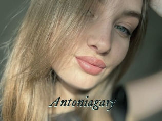 Antoniagary