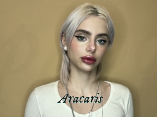 Aracaris