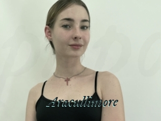Aracullimore
