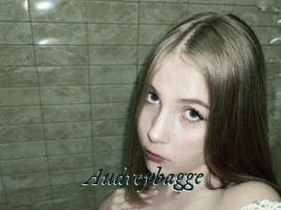 Audreybagge