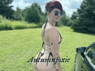 Autumnfoxie