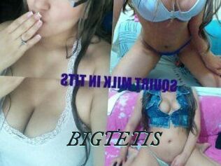 BIG_TETIS