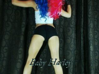 Baby_Harley