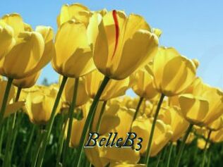 BelleB3