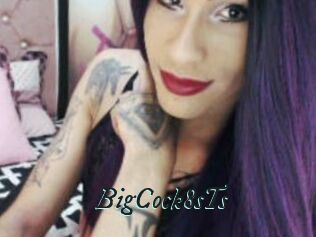 BigCock8sTs
