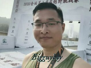 Bigguyboy