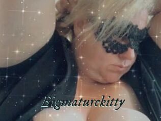 Bigmaturekitty