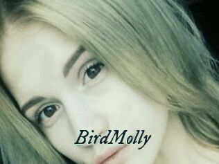 BirdMolly