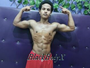 BlackBodyX