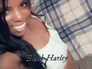 Black_Harley