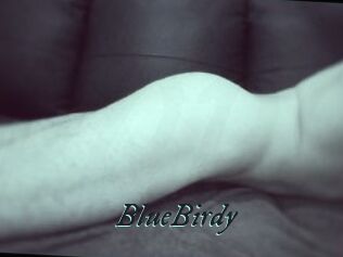 BlueBirdy