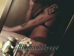 Bluebirdbaby096