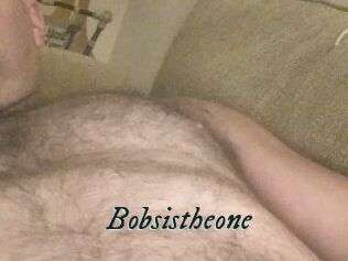 Bobsistheone