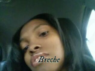 Breche