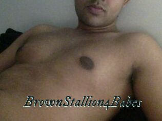BrownStallion4Babes