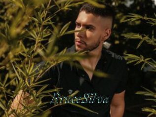 BruceSilva