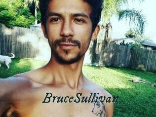 Bruce_Sullivan