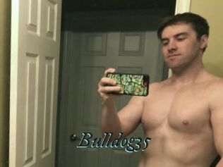 Bulldog35
