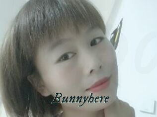 Bunnyhere
