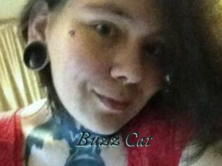Buzz_Cat