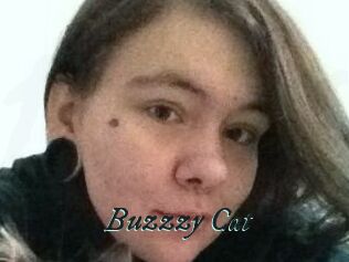 Buzzzy_Cat