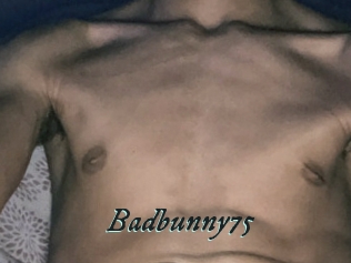 Badbunny75