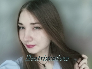 Beatrixcatlow