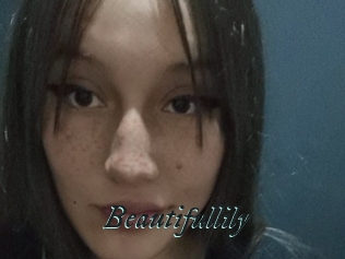 Beautifullily