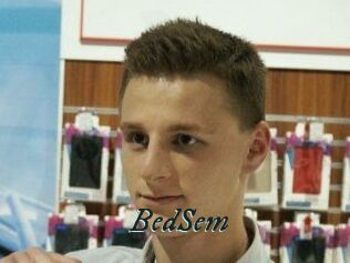 BedSem