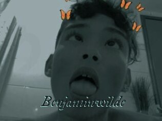 Benjaminwilde