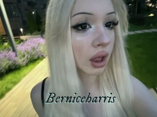 Berniceharris