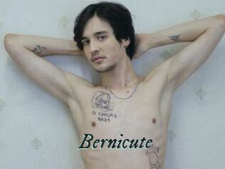 Bernicute