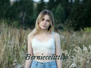 Berniecelittleb
