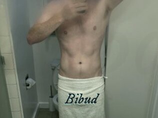 Bibud