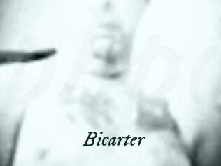 Bicarter