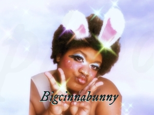 Bigcinnabunny