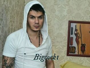 Bigcock1
