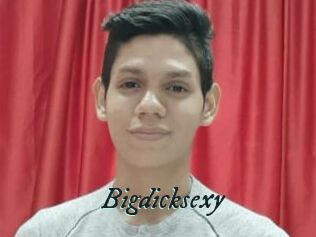 Bigdicksexy