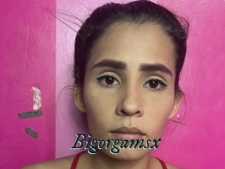Bigorgamsx