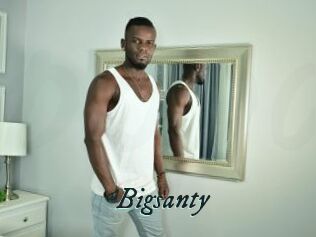Bigsanty
