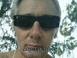 Biguncutcock