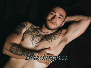Blakeking0102