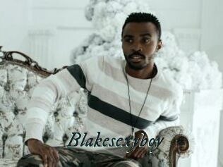 Blakesexyboy