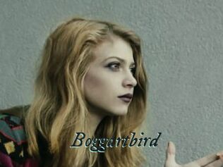Boggartbird