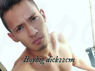 Boybig_dick22cm