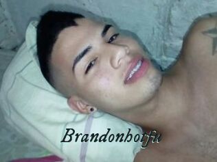 Brandonhotfu
