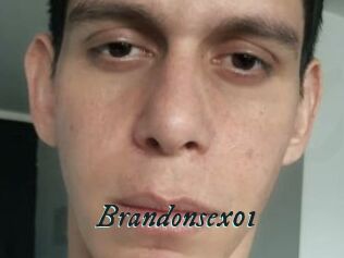 Brandonsex01